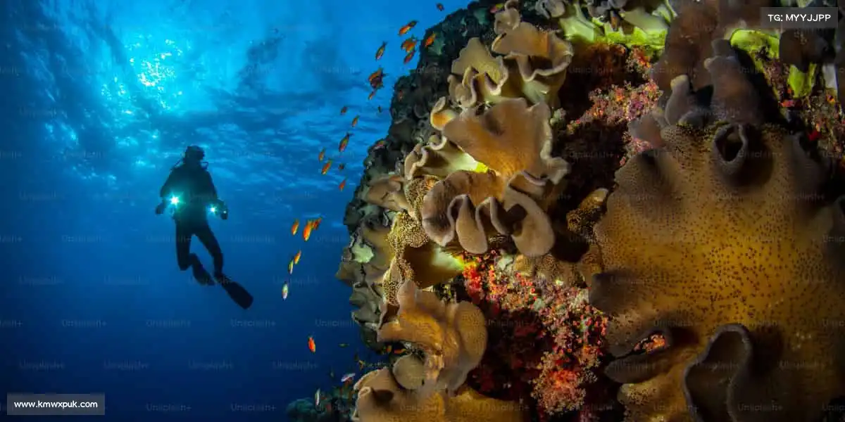 milan米兰体育无关输赢,热爱即是最好的理由,动起来就现在!🌟🏊